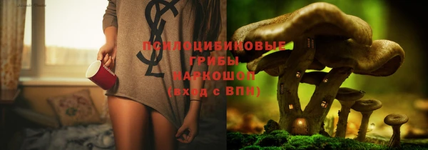 гидра Абдулино